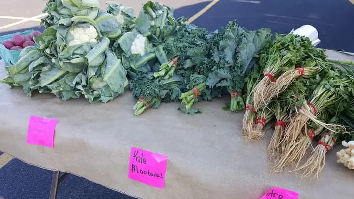 Stratford Farmers Market