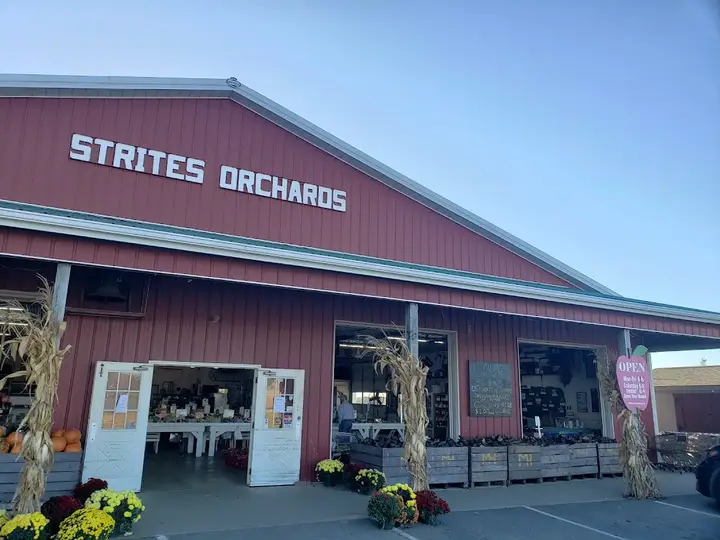 Strite's Orchard Farm Market and Bakery