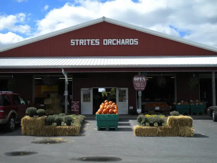 Strite's Orchard Farm Market and Bakery photo 2