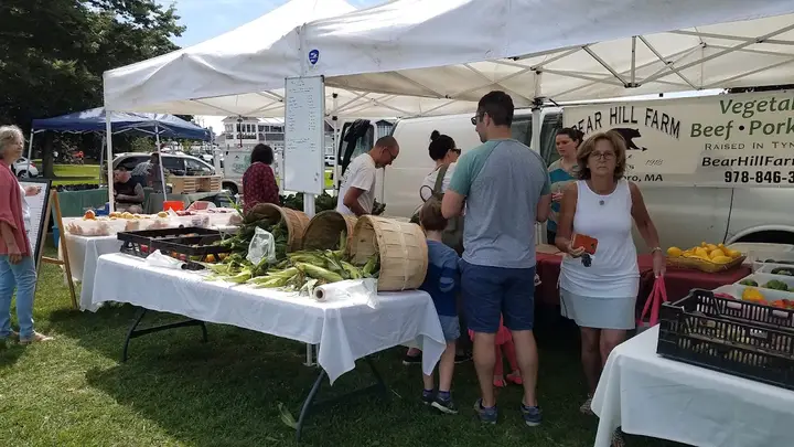 Swampscott Farmers Market photo 2