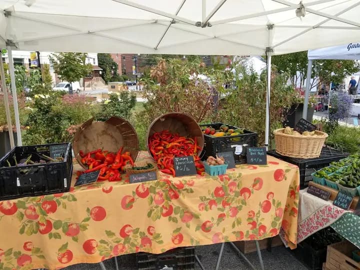 Swarthmore Farmers Market
