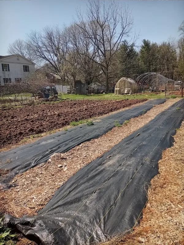 Sycamore Spring Farm Market