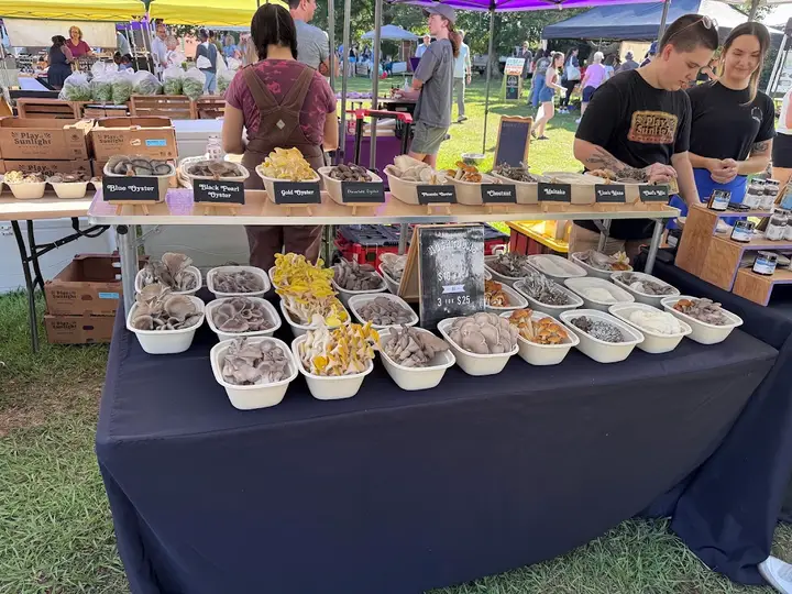 Tallahassee Farmers Market photo 2