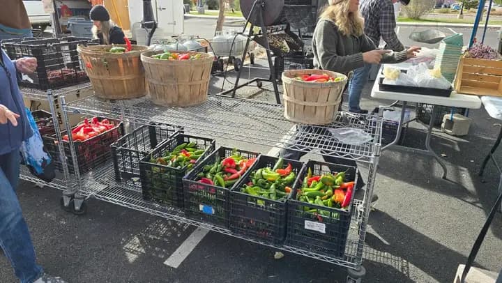 Taos Farmers' Market photo 2