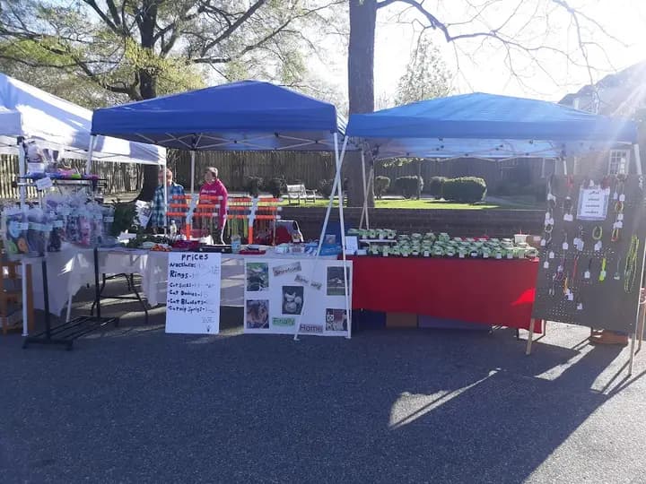 Tappahannock Farmers Market photo 2