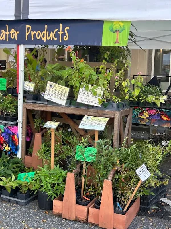 TD Saturday Market