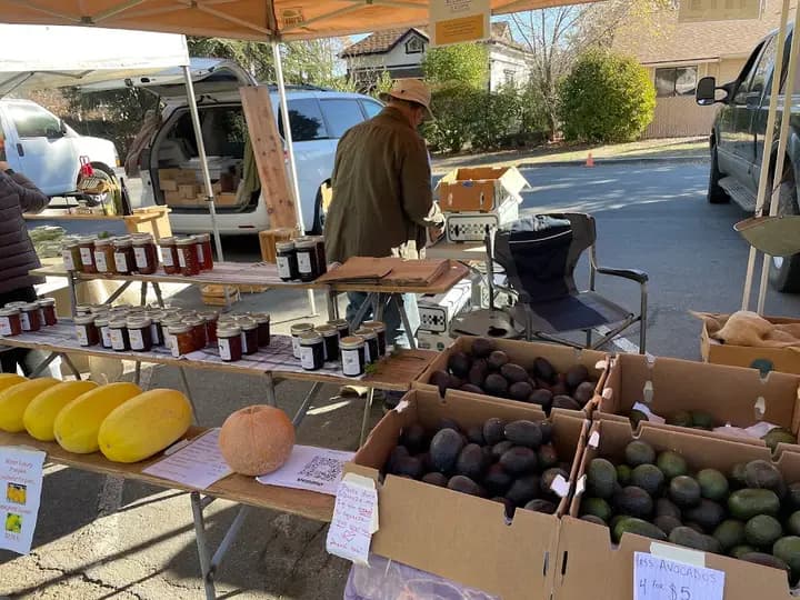 Templeton Farmers Market photo 2