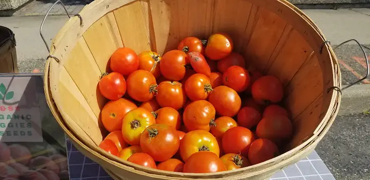 The ARA Farm Market