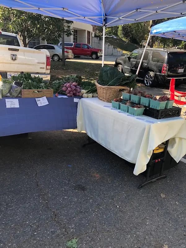 The Davidson Farmer's Market