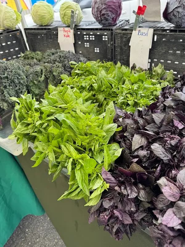The Farmers Market at the Great Park photo 2