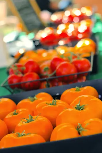 The Green Chefs Farmers Market