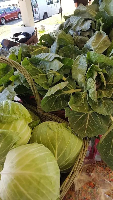 The Green Market