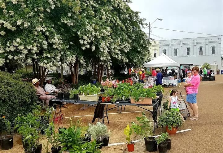The Grenada Farmers' Market