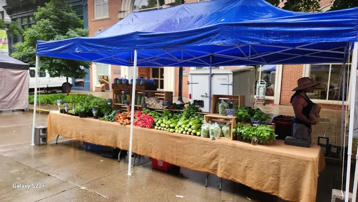The Market Square Farmers' Market
