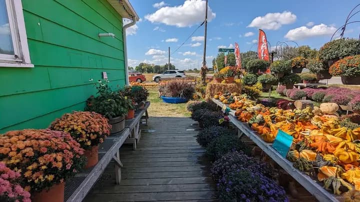 The Mason City Market