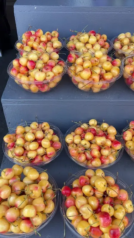 The Olympia Farmers Market photo 2
