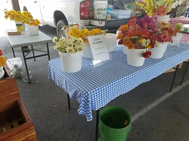 Thomasville Farmers Market photo 2