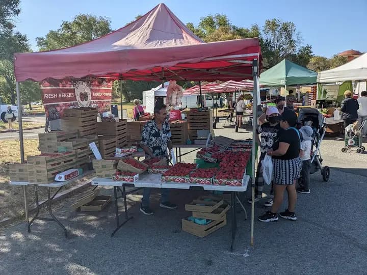 Thursday Marin Farmers Market photo 2