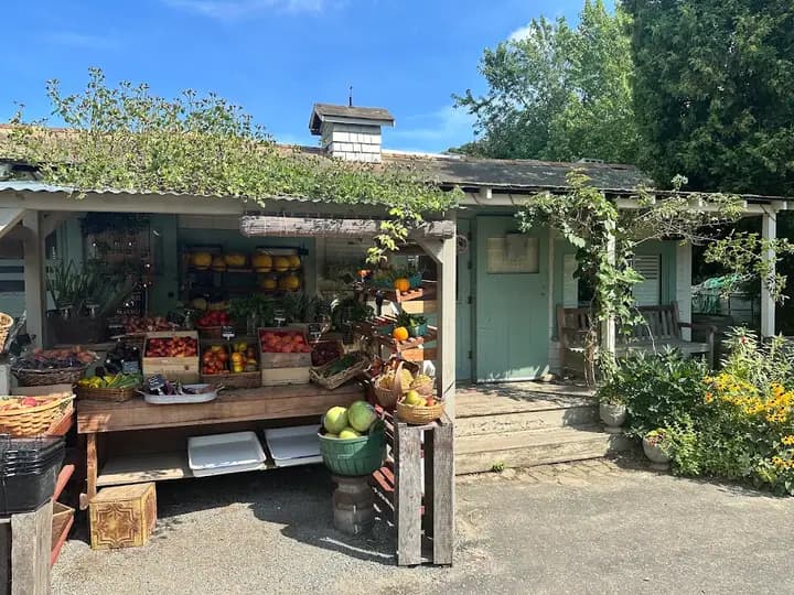 Tisbury Farm Market photo 2
