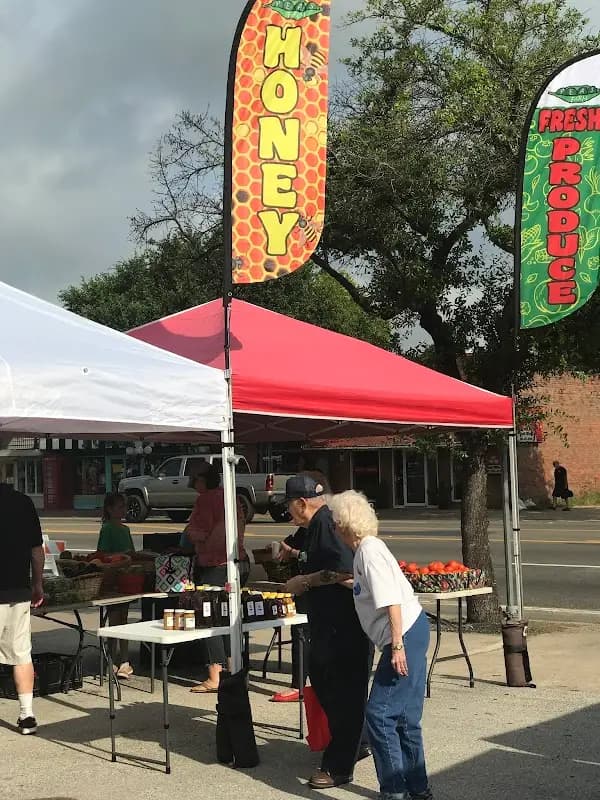 Tomball Farmers Market photo 2