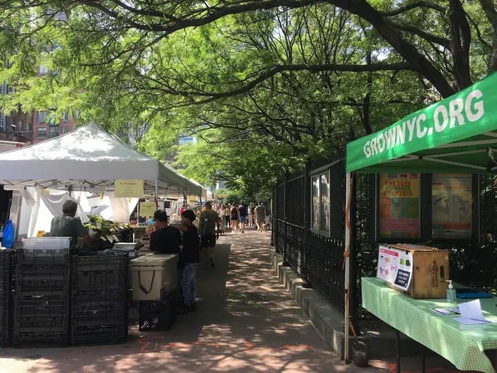 Tribeca Greenmarket photo 2