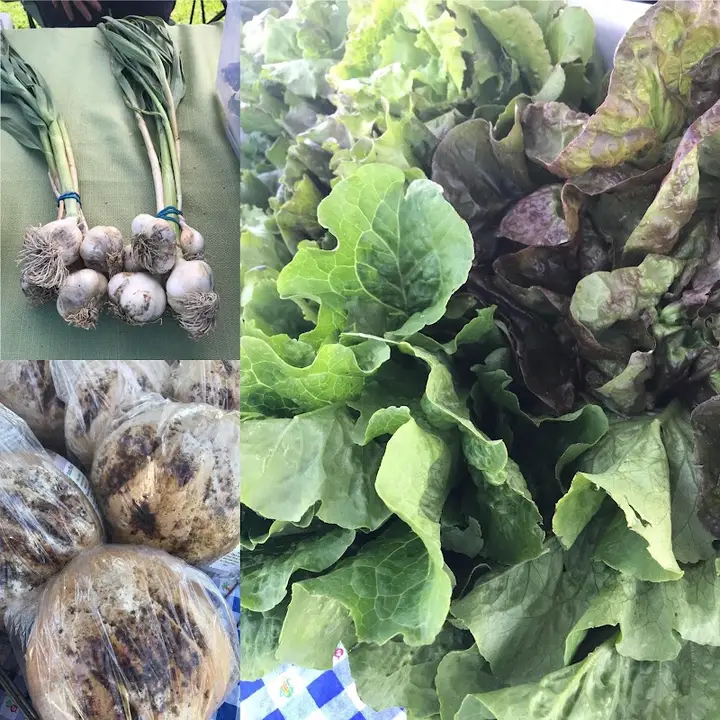 Trinidad Community Farmers Market photo 2
