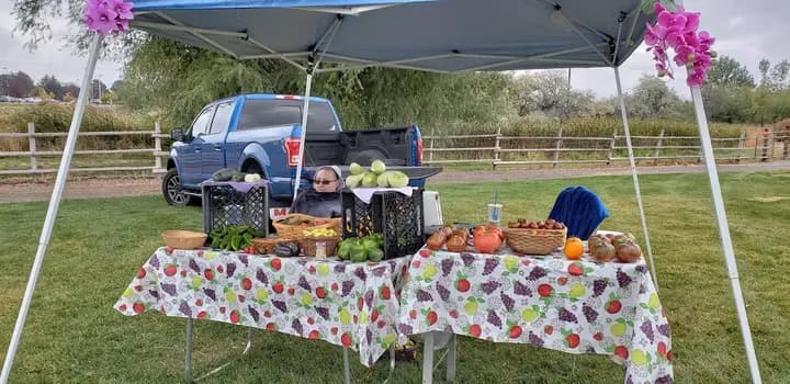 Twin Falls Farmers Market photo 2