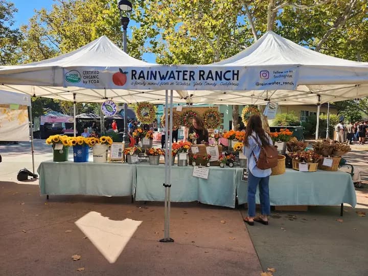 UC Davis Farmers Market
