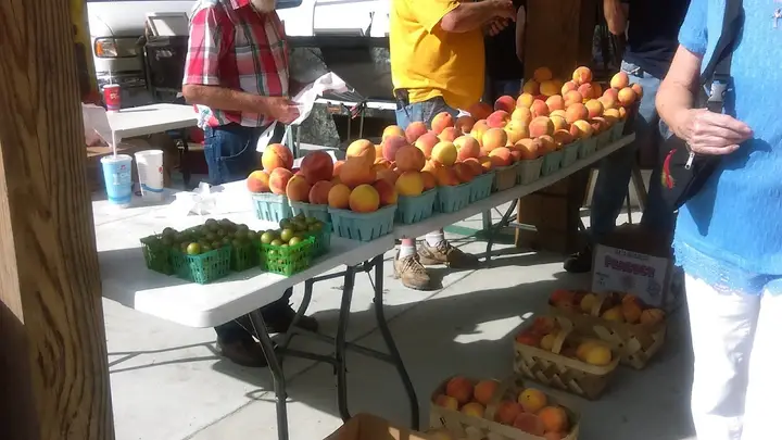 Union County Farmers Market photo 2