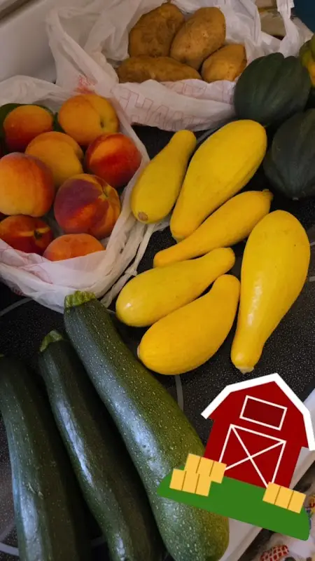 Uptown Martinsville Farmers' Market photo 2
