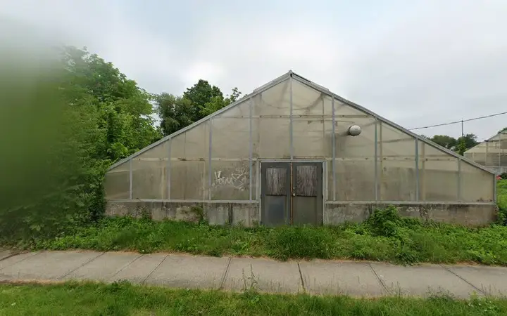 Urban Oaks Organic Farm