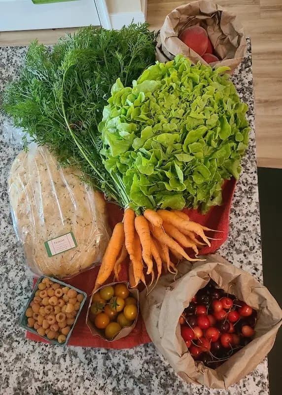 Urbana Library Farmers' Market