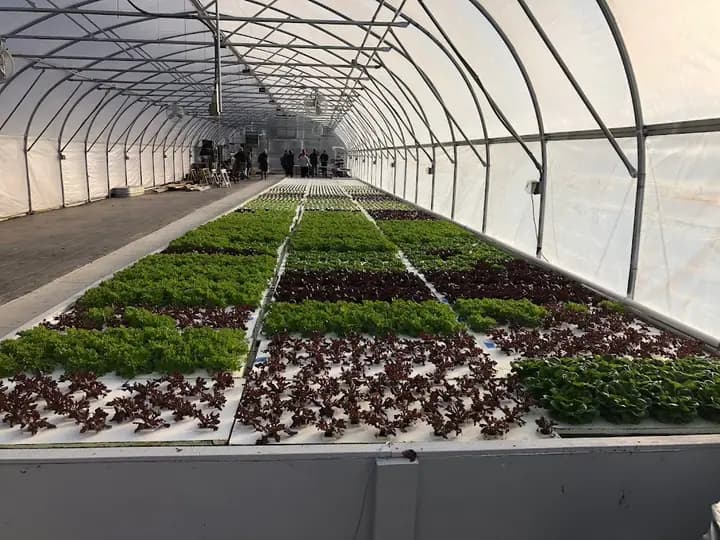 Urbavore Urban Farm and Market photo 2