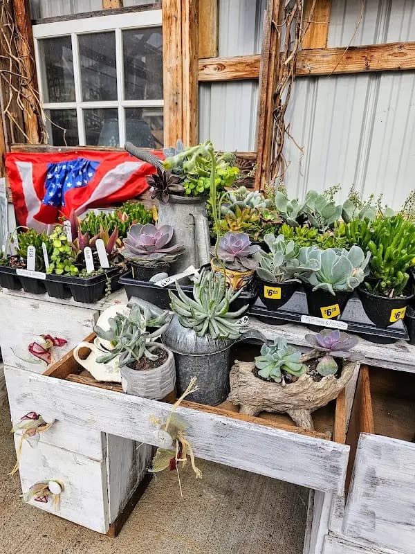 Verdigre Farmers Market photo 2