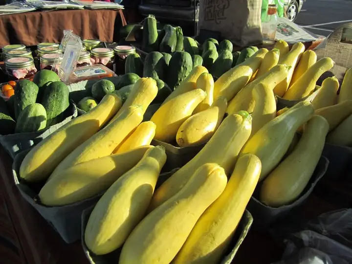 Vilonia Handmade & Homegrown Market