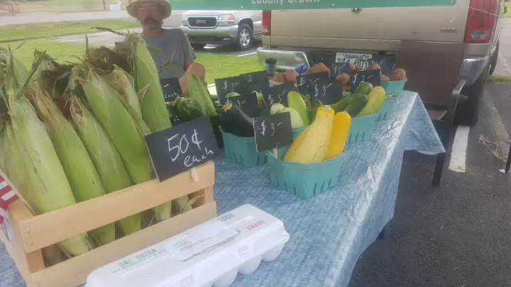 Vilonia Handmade & Homegrown Market photo 2