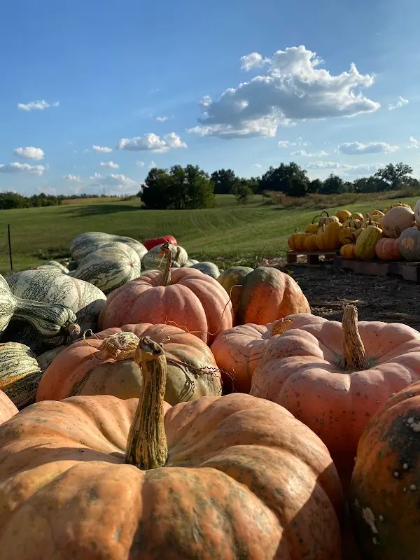 Vine Grove Farmers Market