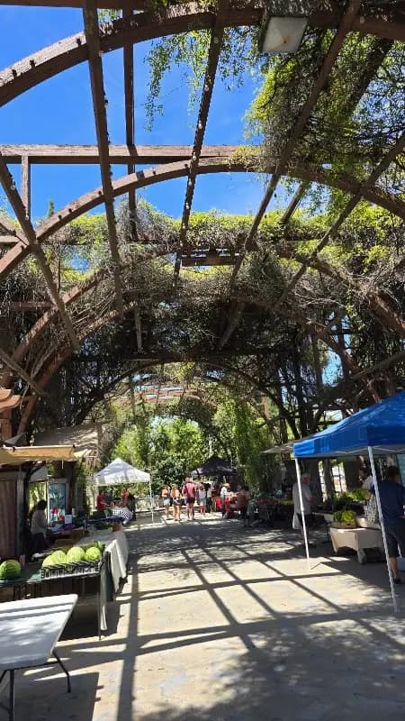 Vineyard Farmers Market photo 2