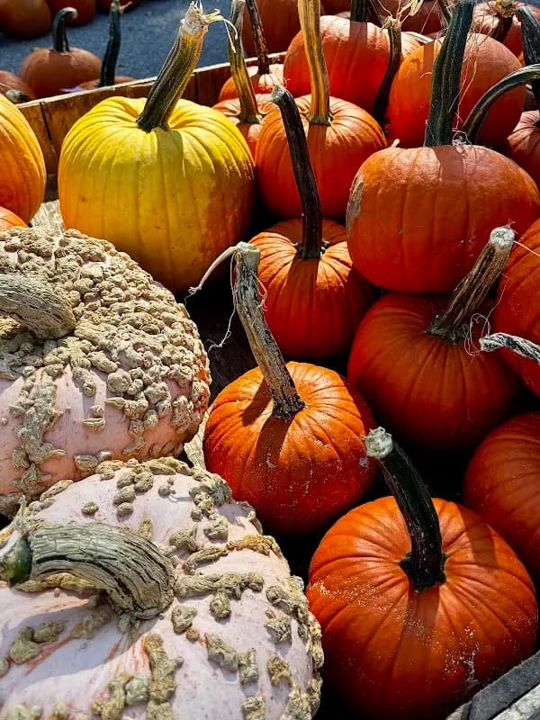 Viroqua Farmers' MARKET-Saturday