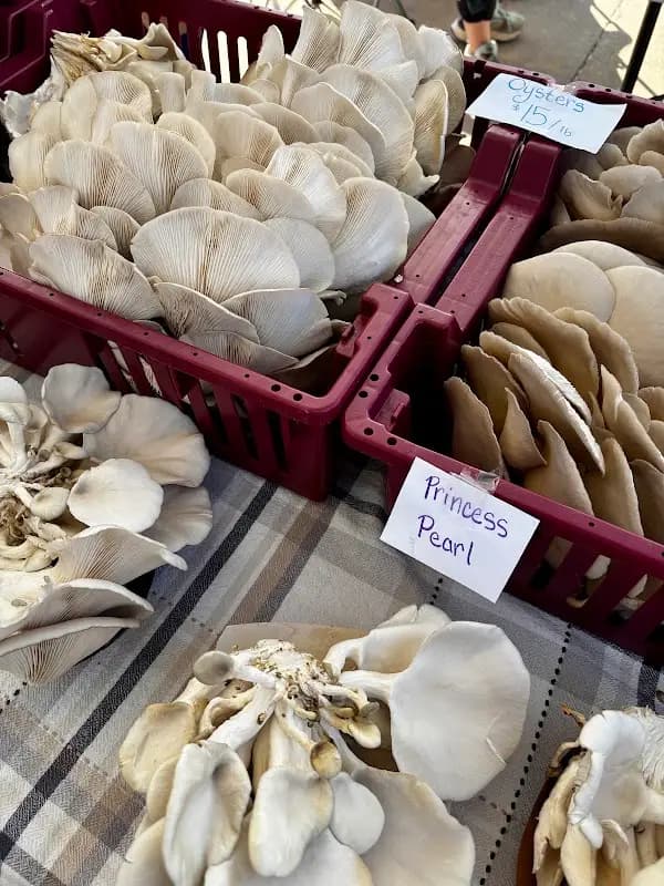 Viroqua Farmers' MARKET-Saturday photo 2