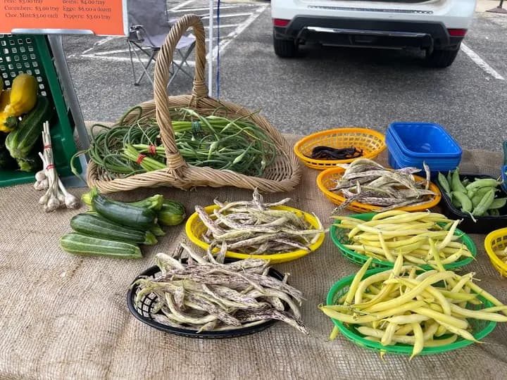 Wabasha Downtown Farmers Market