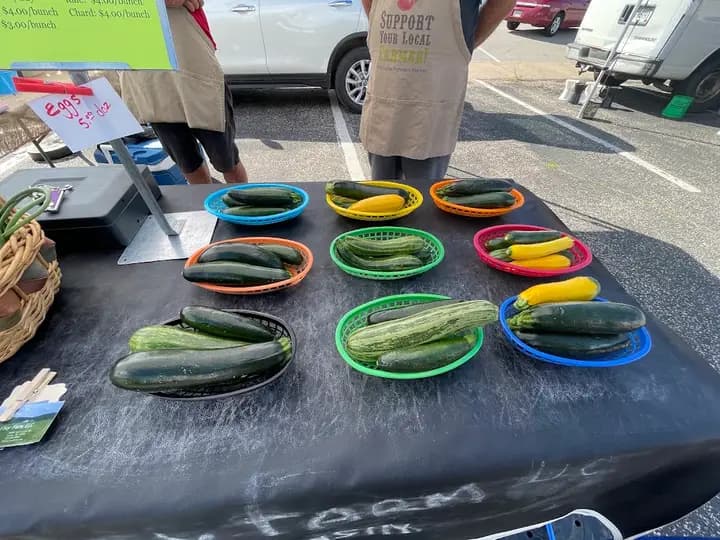 Wabasha Downtown Farmers Market photo 2