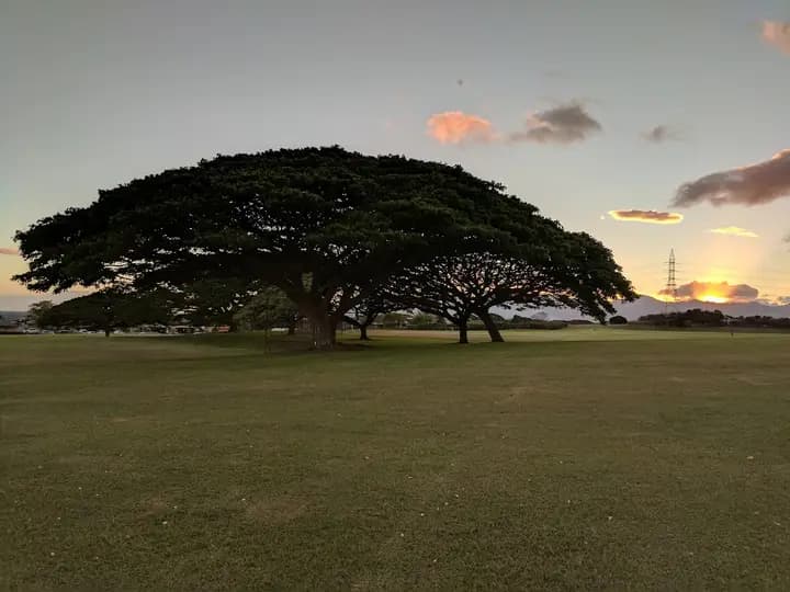 Waiau District Park (People's Open Market)