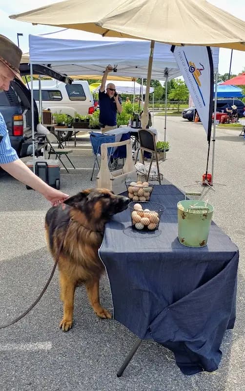 Waldorf Farmers Market