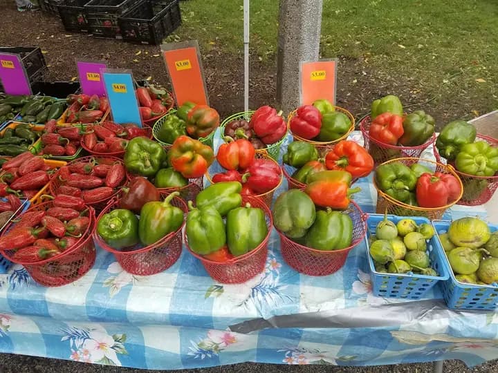 Walker Square Farmers' Market