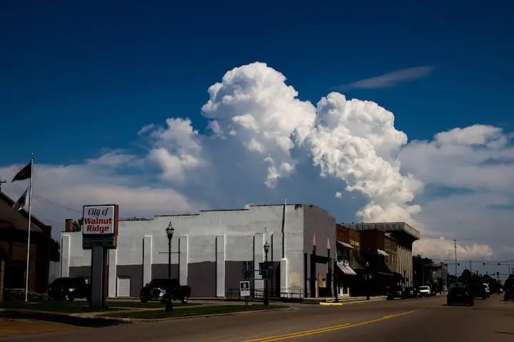 Walnut Ridge Farmers Market