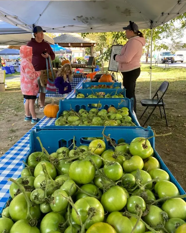 Walpole Farmers Market - Winter