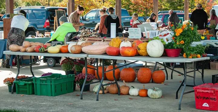 Waynesboro Farmers Market photo 2