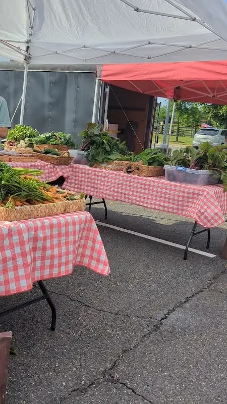Wellness Connection Farmer's Market photo 2