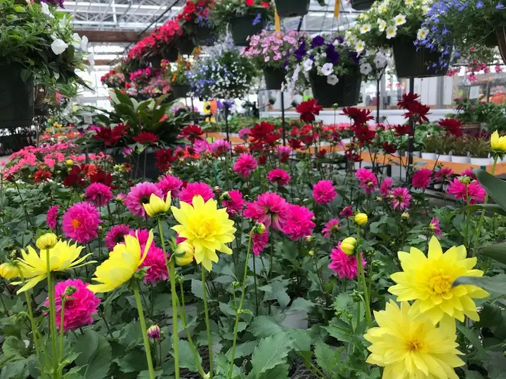 Wentworth Greenhouse Farmers' Market